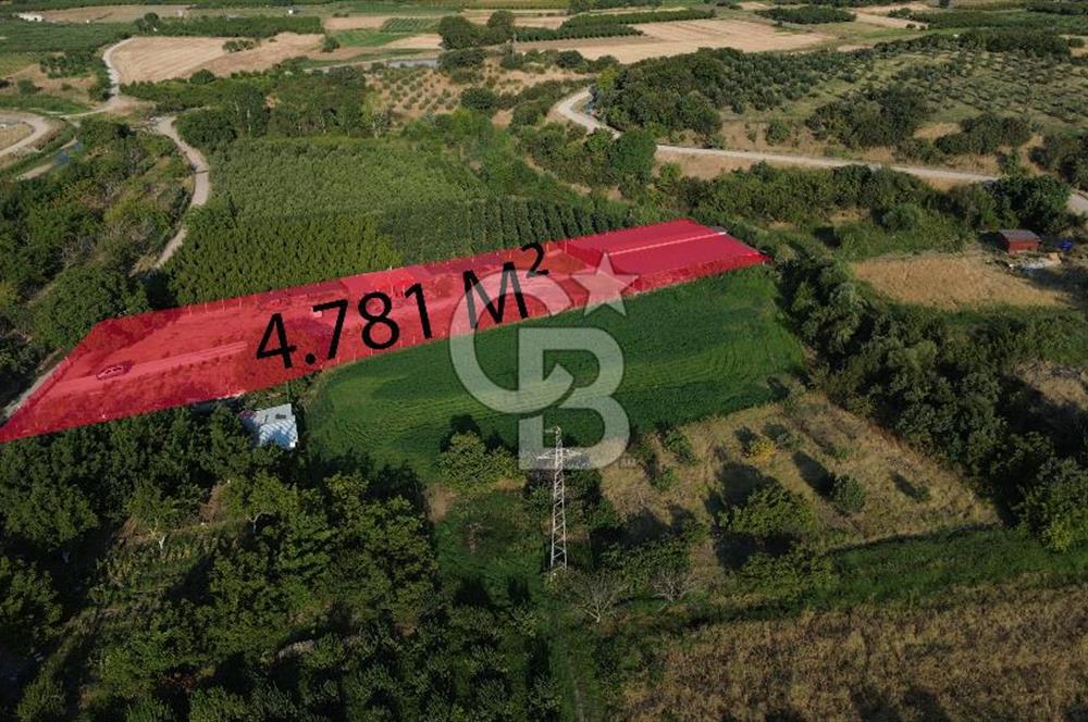 Çanakkale Merkez Saraycık Köyü Satılık 4.781 M² Arazi!
