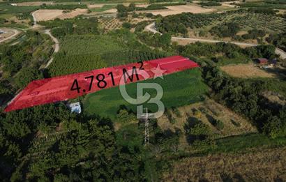 Çanakkale Merkez Saraycık Köyü Satılık 4.781 M² Arazi!