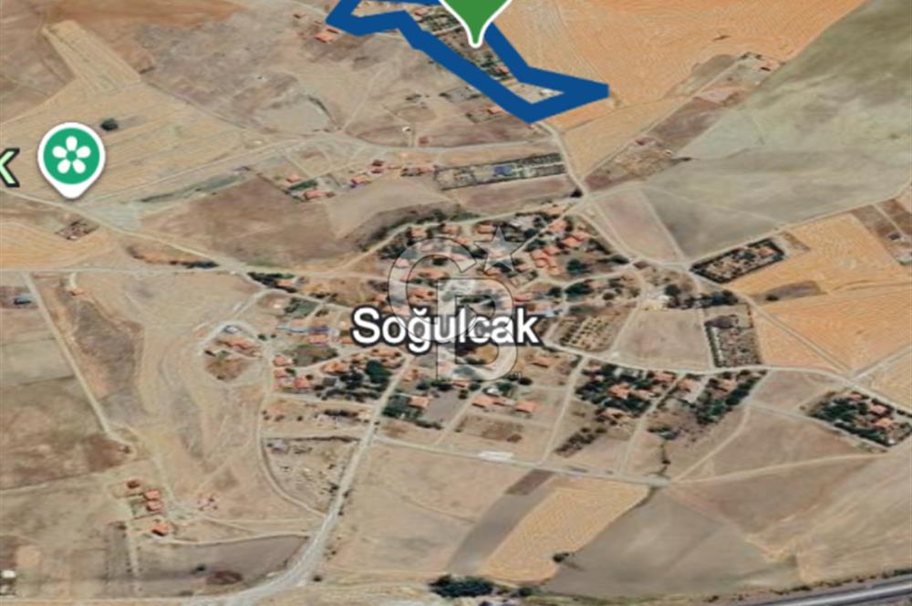 GÖLBAŞI SOĞULCAK'TA TEL ÖRGÜSÜ ÇEVRİLİ KÖYE YAKIN TARLA