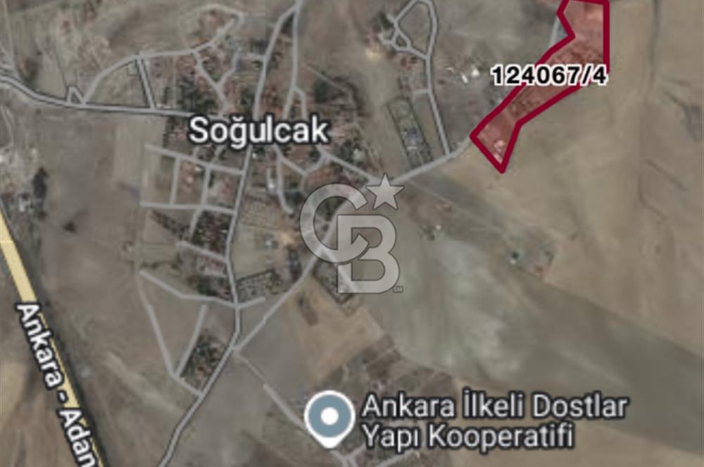 GÖLBAŞI SOĞULCAK'TA TEL ÖRGÜSÜ ÇEVRİLİ KÖYE YAKIN TARLA
