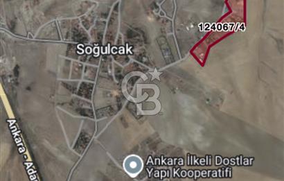 GÖLBAŞI SOĞULCAK'TA TEL ÖRGÜSÜ ÇEVRİLİ KÖYE YAKIN TARLA