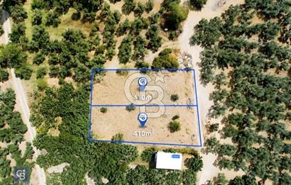 Mudanya Çepnide Köyiçi 410 m2 Bahçe