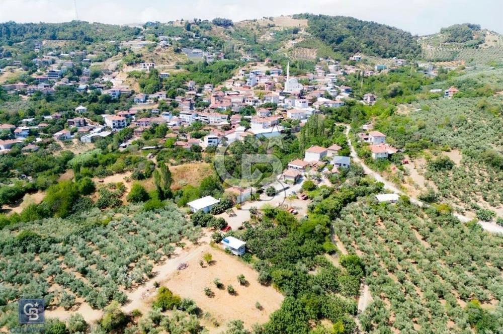 Mudanya Çepnide Köyiçi 410 m2 Bahçe