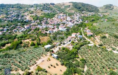 Mudanya Çepnide Köyiçi 410 m2 Bahçe