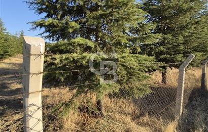 GÖLBAŞI SOĞULCAK'TA TEL ÖRGÜSÜ ÇEVRİLİ KÖYE YAKIN TARLA