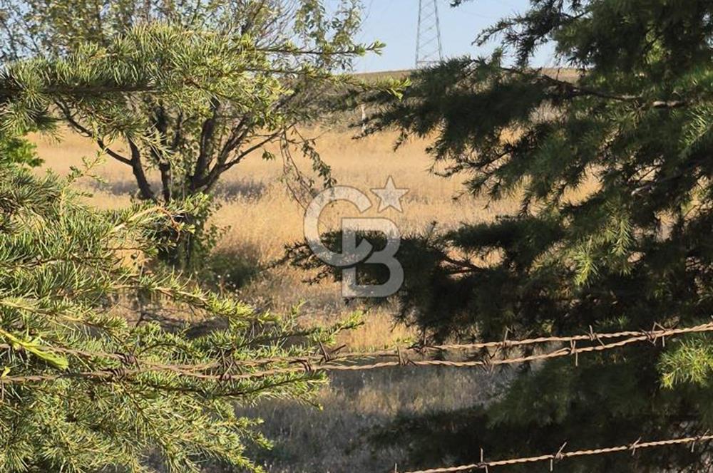 GÖLBAŞI SOĞULCAK'TA TEL ÖRGÜSÜ ÇEVRİLİ KÖYE YAKIN TARLA