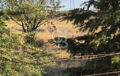 GÖLBAŞI SOĞULCAK'TA TEL ÖRGÜSÜ ÇEVRİLİ KÖYE YAKIN TARLA