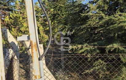 GÖLBAŞI SOĞULCAK'TA TEL ÖRGÜSÜ ÇEVRİLİ KÖYE YAKIN TARLA