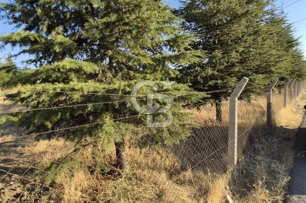 GÖLBAŞI SOĞULCAK'TA TEL ÖRGÜSÜ ÇEVRİLİ KÖYE YAKIN TARLA
