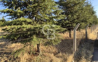 GÖLBAŞI SOĞULCAK'TA TEL ÖRGÜSÜ ÇEVRİLİ KÖYE YAKIN TARLA