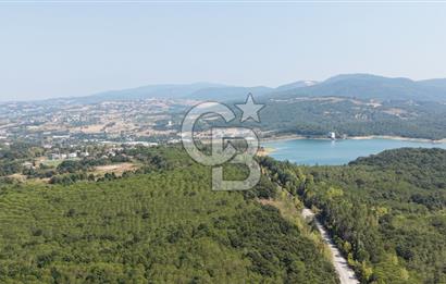 TERMAL YOLU GÖKÇE BARAJI YANINDA 33.460 M2 %40 İMARLI ÖZEL ARAZİ