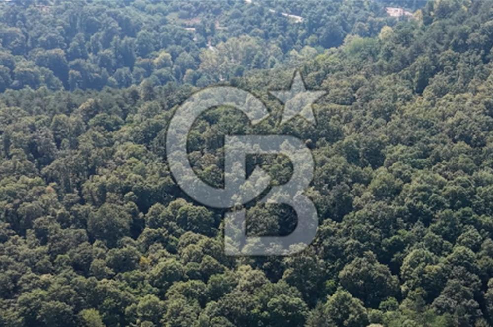TERMAL YOLU GÖKÇE BARAJI YANINDA 33.460 M2 %40 İMARLI ÖZEL ARAZİ