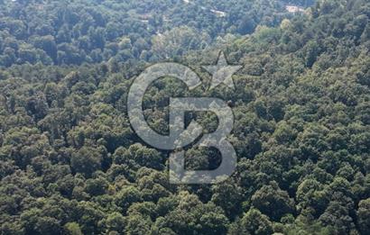 TERMAL YOLU GÖKÇE BARAJI YANINDA 33.460 M2 %40 İMARLI ÖZEL ARAZİ