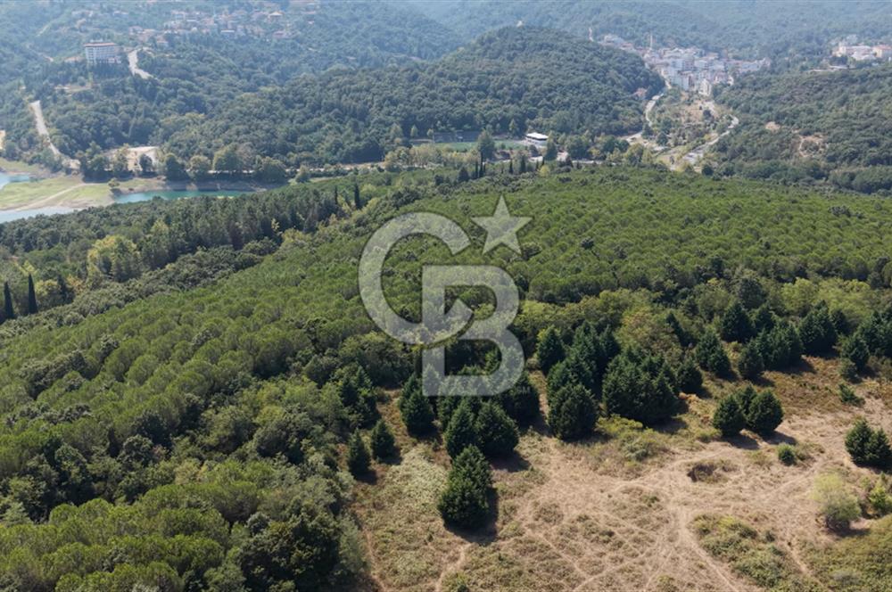 TERMAL YOLU GÖKÇE BARAJI YANINDA 33.460 M2 %40 İMARLI ÖZEL ARAZİ