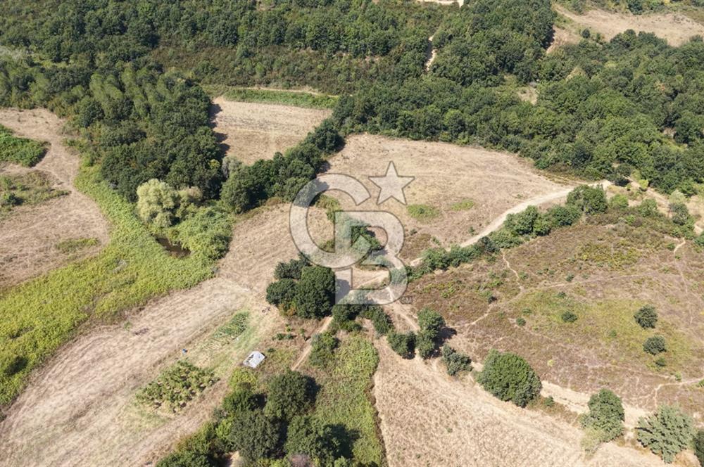 TERMAL YOLU GÖKÇE BARAJI YANINDA 33.460 M2 %40 İMARLI ÖZEL ARAZİ