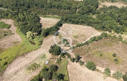 TERMAL YOLU GÖKÇE BARAJI YANINDA 33.460 M2 %40 İMARLI ÖZEL ARAZİ