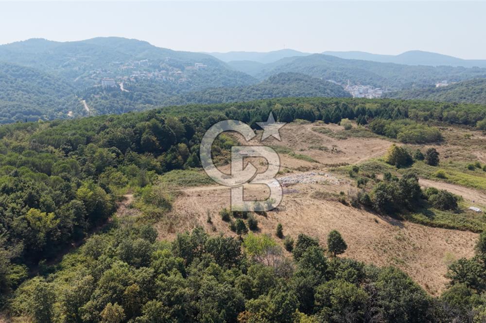 TERMAL YOLU GÖKÇE BARAJI YANINDA 33.460 M2 %40 İMARLI ÖZEL ARAZİ