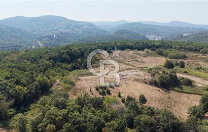 TERMAL YOLU GÖKÇE BARAJI YANINDA 33.460 M2 %40 İMARLI ÖZEL ARAZİ