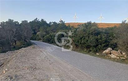 Urla Zeytinler'de Satılık Tarla