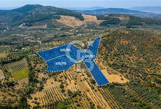 MUSELAND-TORBALI KARAKIZLAR DA 9515 M2 SATILIK ZEYTİNLİK - 1 - 368403