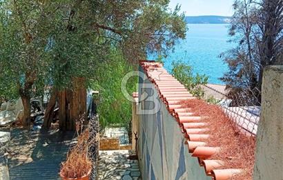 Balıklıova'da 1.282m2 Kullanım Alanlı Loft Villa ve Misafir Evi