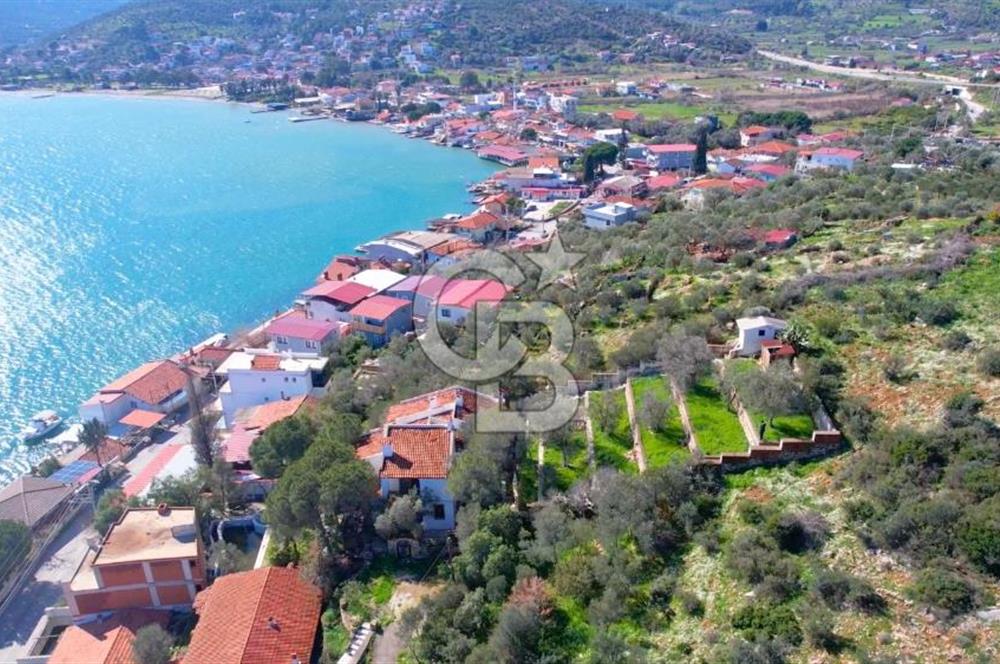 Balıklıova'da 1.282m2 Kullanım Alanlı Loft Villa ve Misafir Evi