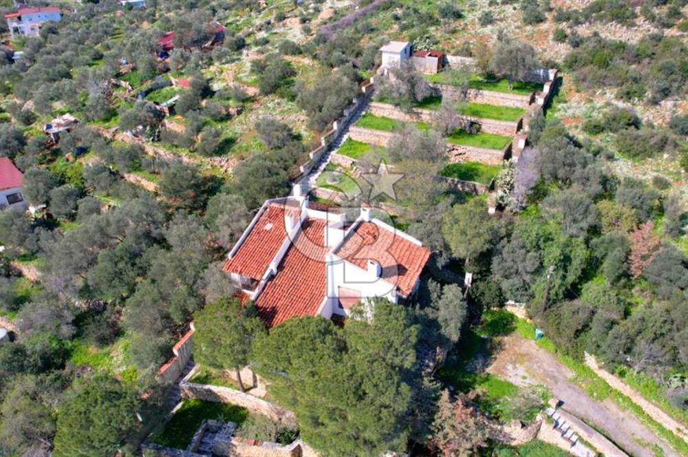 Balıklıova'da 1.282m2 Kullanım Alanlı Loft Villa ve Misafir Evi
