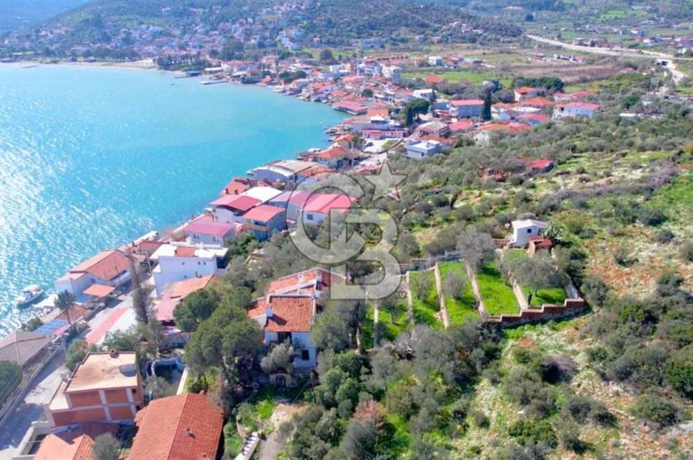 Balıklıova'da 1.282m2 Kullanım Alanlı Loft Villa ve Misafir Evi