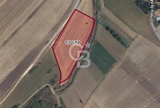 Tekirdağ Saray Sofularda 246 M2 Satılık Köy İçi Arsa - 1 - 368427