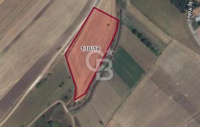 Tekirdağ Saray Sofularda 246 M2 Satılık Köy İçi Arsa