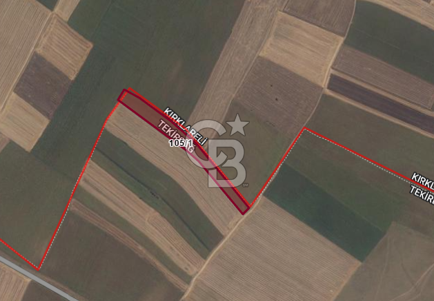 Tekirdağ Saray Sofular Köyünde 298 m² Yatırımlık Satılık Tarla