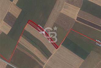 Tekirdağ Saray Sofular Köyünde 298 m² Yatırımlık Satılık Tarla - 1 - 368428