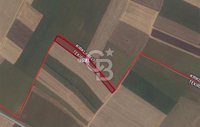 Tekirdağ Saray Sofular Köyünde 298 m² Yatırımlık Satılık Tarla