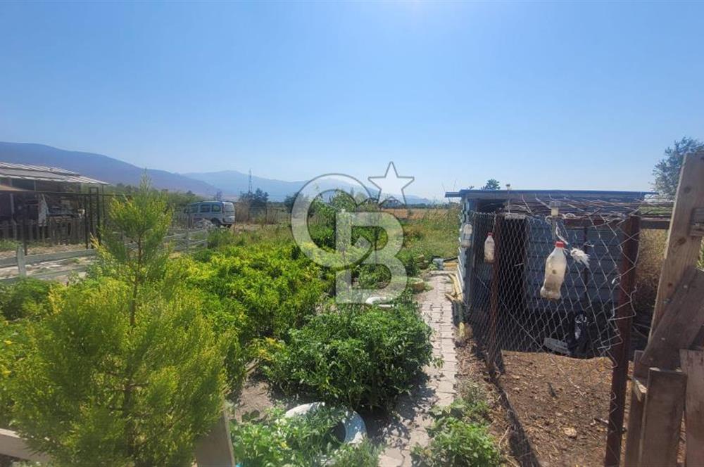 ALİAĞA BARBAROS'TA EVİ VE HOBİ BAHÇESİ BULUNAN SATILIK TARLA 