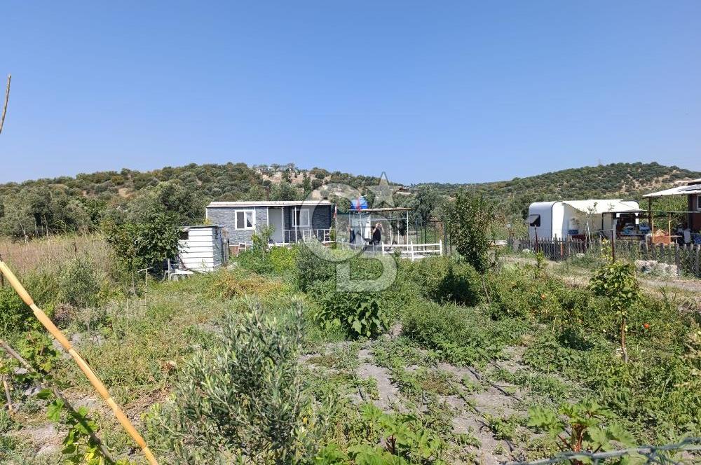 ALİAĞA BARBAROS'TA EVİ VE HOBİ BAHÇESİ BULUNAN SATILIK TARLA 