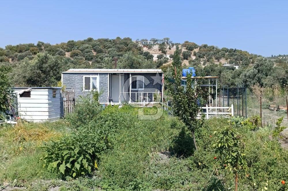 ALİAĞA BARBAROS'TA EVİ VE HOBİ BAHÇESİ BULUNAN SATILIK TARLA 