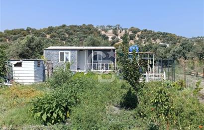 ALİAĞA BARBAROS'TA EVİ VE HOBİ BAHÇESİ BULUNAN SATILIK TARLA 