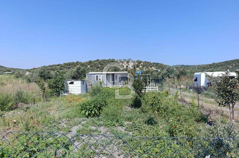 ALİAĞA BARBAROS'TA EVİ VE HOBİ BAHÇESİ BULUNAN SATILIK TARLA 