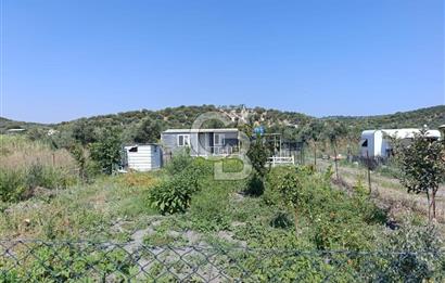 ALİAĞA BARBAROS'TA EVİ VE HOBİ BAHÇESİ BULUNAN SATILIK TARLA 