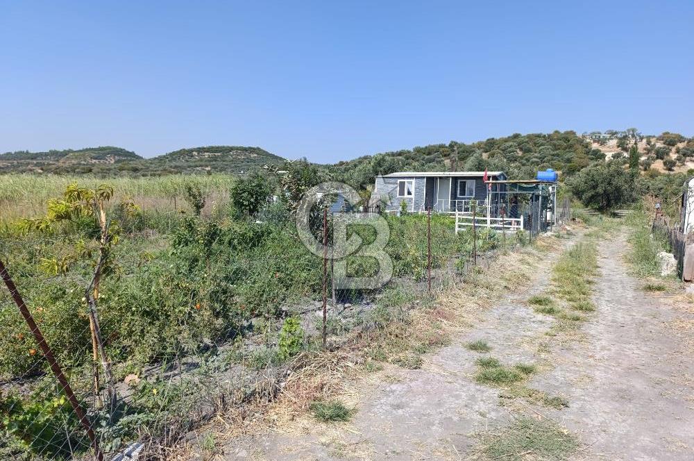 ALİAĞA BARBAROS'TA EVİ VE HOBİ BAHÇESİ BULUNAN SATILIK TARLA 