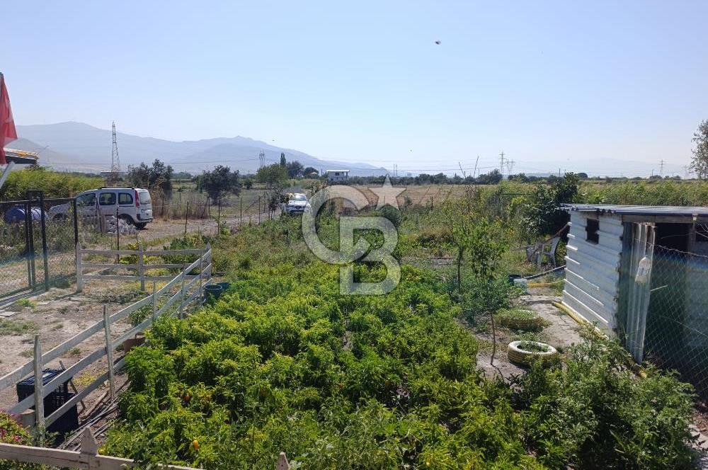 ALİAĞA BARBAROS'TA EVİ VE HOBİ BAHÇESİ BULUNAN SATILIK TARLA 