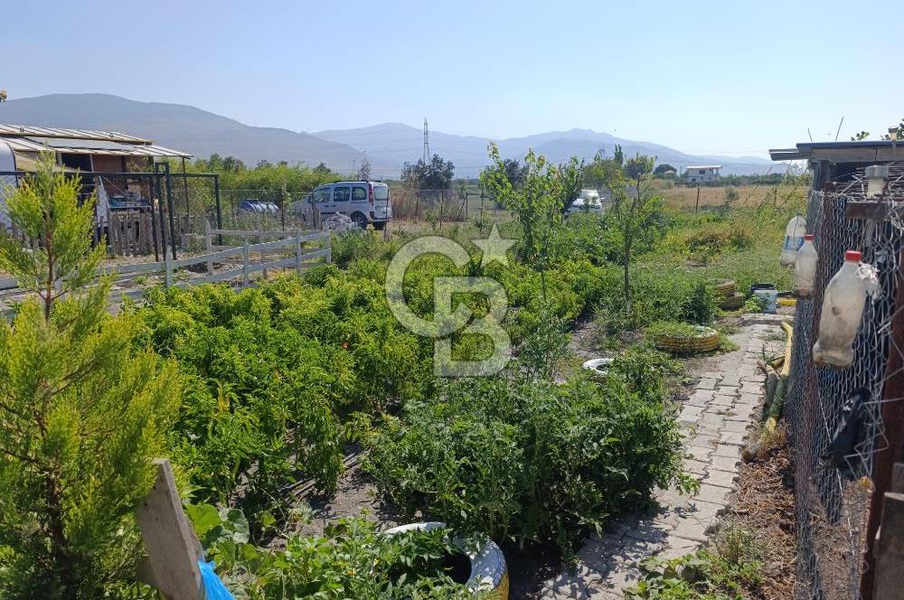 ALİAĞA BARBAROS'TA EVİ VE HOBİ BAHÇESİ BULUNAN SATILIK TARLA 