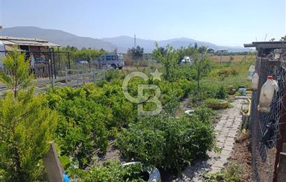 ALİAĞA BARBAROS'TA EVİ VE HOBİ BAHÇESİ BULUNAN SATILIK TARLA 