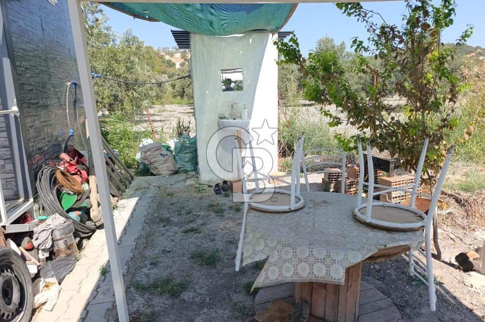 ALİAĞA BARBAROS'TA EVİ VE HOBİ BAHÇESİ BULUNAN SATILIK TARLA 