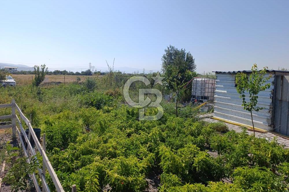 ALİAĞA BARBAROS'TA EVİ VE HOBİ BAHÇESİ BULUNAN SATILIK TARLA 