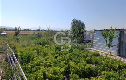 ALİAĞA BARBAROS'TA EVİ VE HOBİ BAHÇESİ BULUNAN SATILIK TARLA 