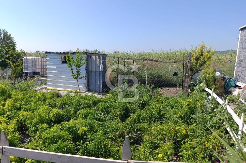 ALİAĞA BARBAROS'TA EVİ VE HOBİ BAHÇESİ BULUNAN SATILIK TARLA 