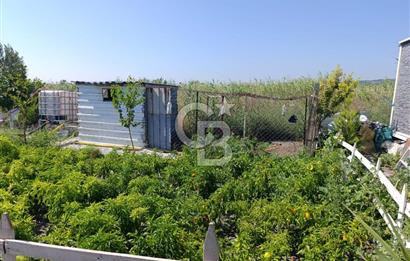 ALİAĞA BARBAROS'TA EVİ VE HOBİ BAHÇESİ BULUNAN SATILIK TARLA 