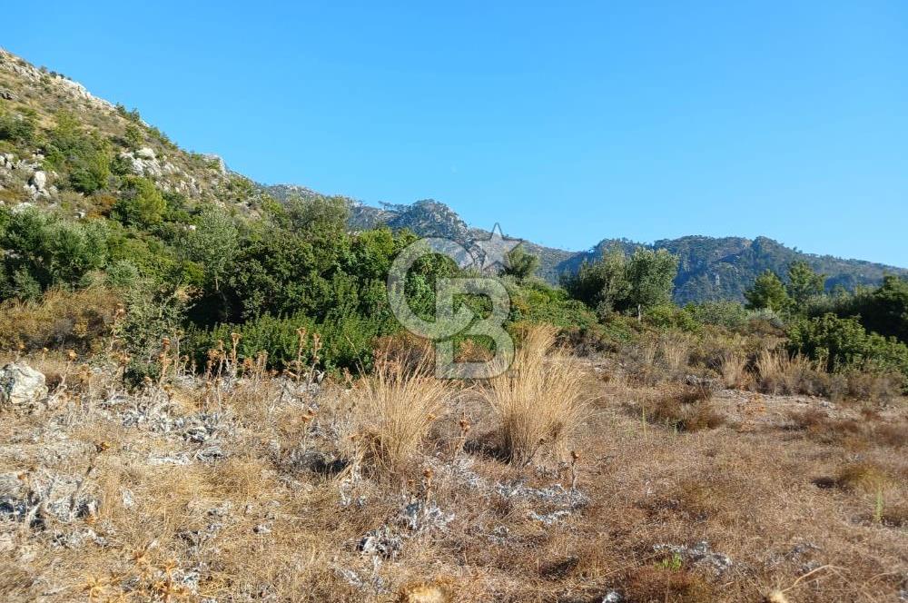 MARMARİS ORHANİYE KIZKUMUNDA PANORAMİK DENİZ MANZARALI ARSA