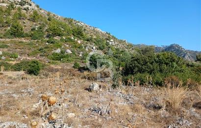 MARMARİS ORHANİYE KIZKUMUNDA PANORAMİK DENİZ MANZARALI ARSA